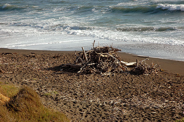 Moonstone Beach 020.jpg